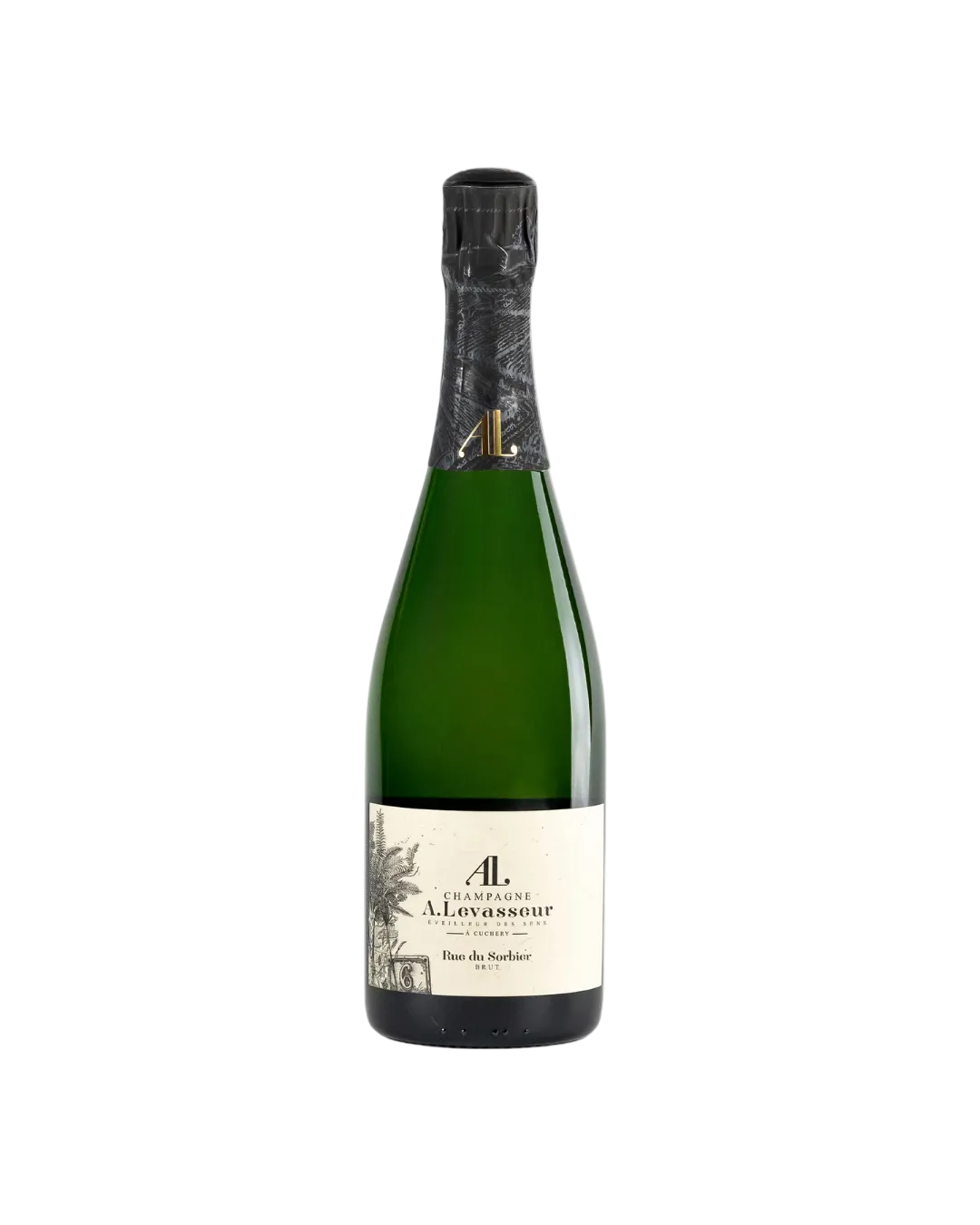 Rue du Sorbier Brut