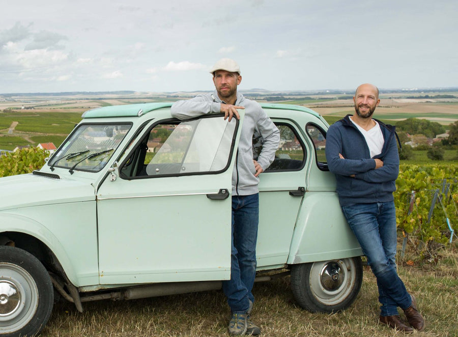 Thomas und Florent Collet in ihren Weinbergen in Fontaine-Denis-Nuisy