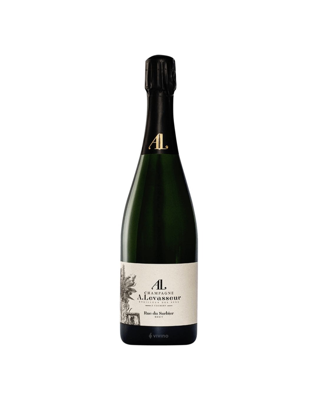 Rue du Sorbier Brut