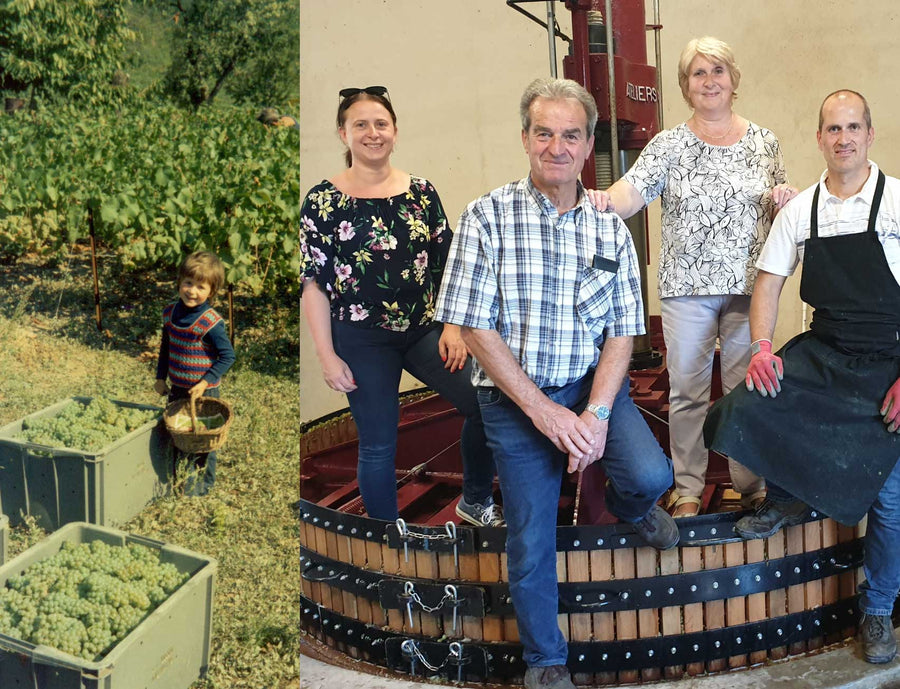 Winzerporträt
