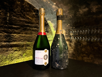 Millésimé 2016 TERRE & MER