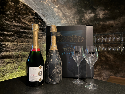 Millésimé 2016 TERRE & MER