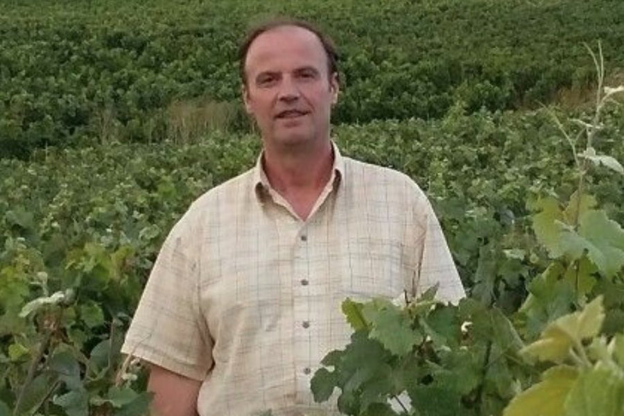 Luc Millet von Champagne Gabriel Boutet in den Reben von Cumières