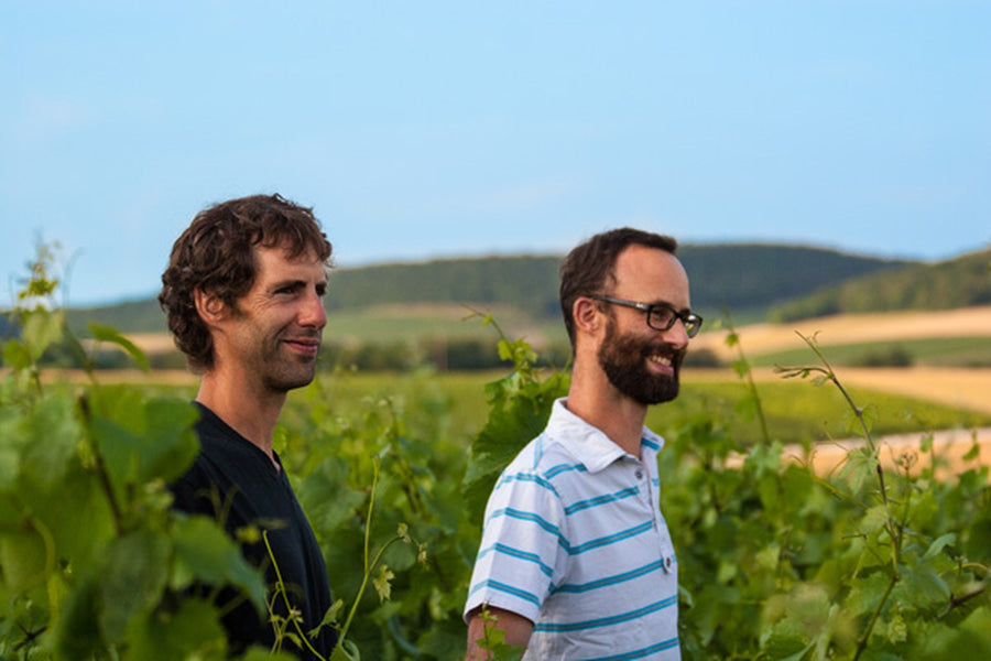 Nicolas und Xavier Chaput von Champagne Denis Chaput zwischen den Rebzeilen in Arrentières